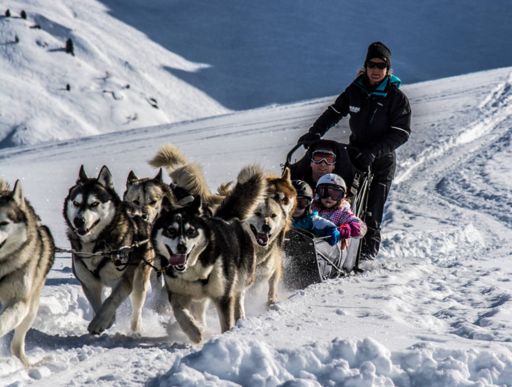 Baptêmebalade En Traîneau à Chiens Plagne Montalbert