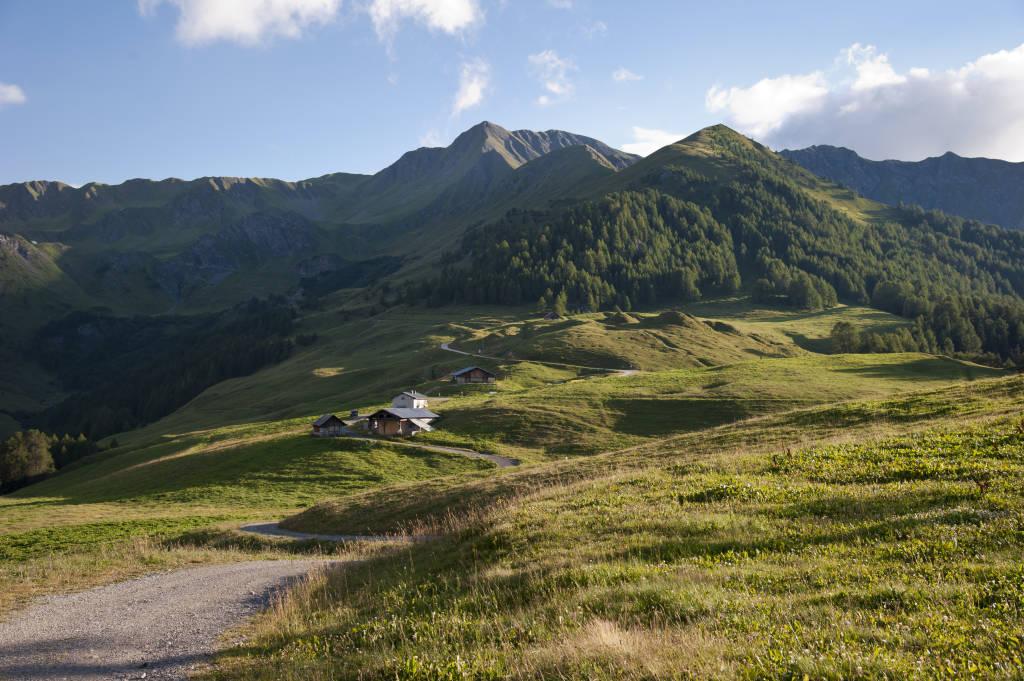 Itinéraire De Randonnée Pédestre Le Sentier Du Mont Jovet Plagne Montalbert Itinéraires De 