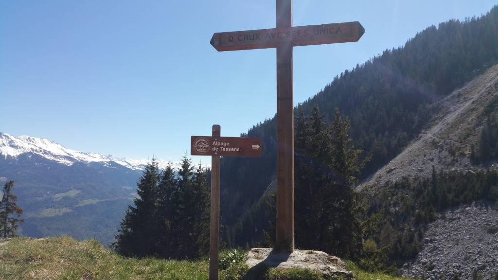 Sentier De La Combe Au Chapieu La Plagne Vallée Itinéraires De Marche Et Randonnée à La Plagne 