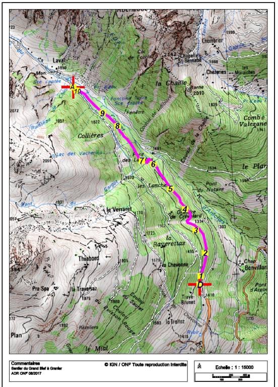 Sentier Du Grand Bief Granier La Plagne Vallée Itinéraires De Marche Et Randonnée à La 