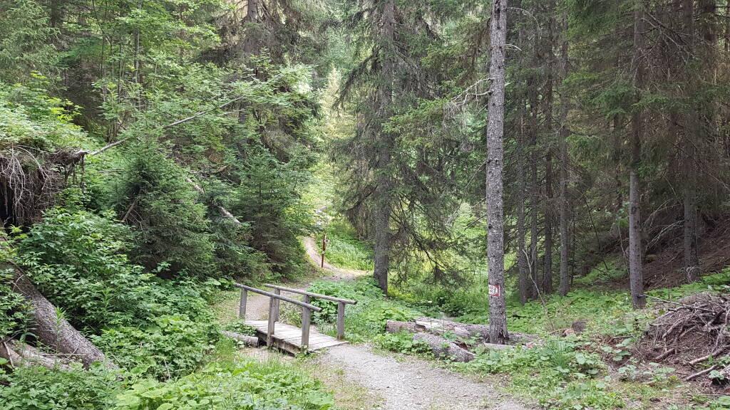 Itinéraire De Randonnée Sentier Du Rocher Du Glaisy Plagne Montalbert Itinéraires De Marche 