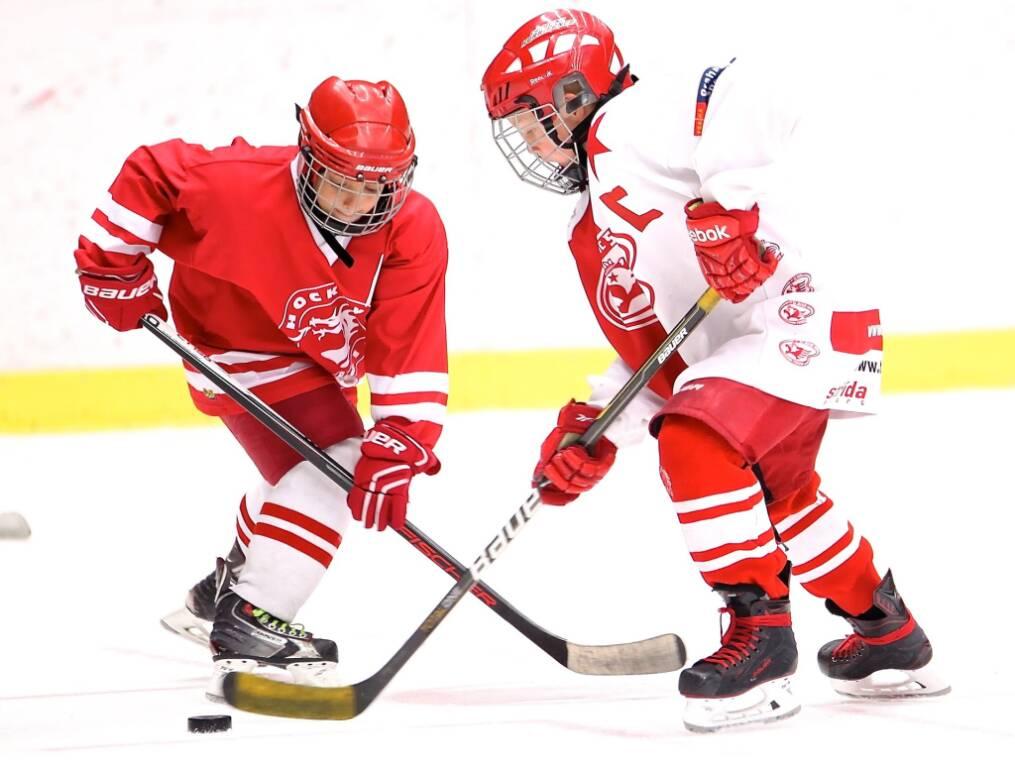 Hockey sur neige