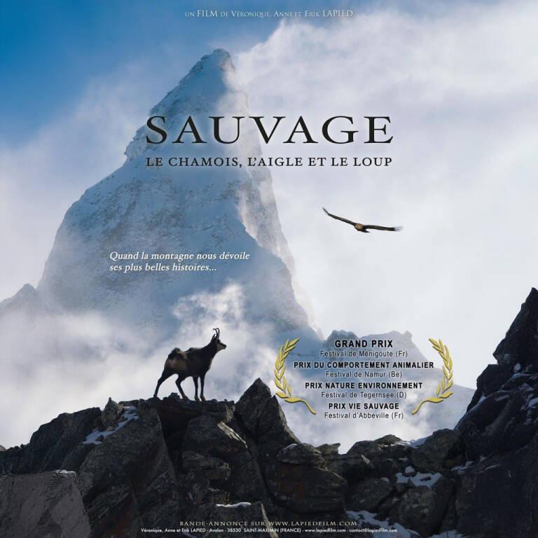 Projection Film SAUVAGE- Le Chamois, l