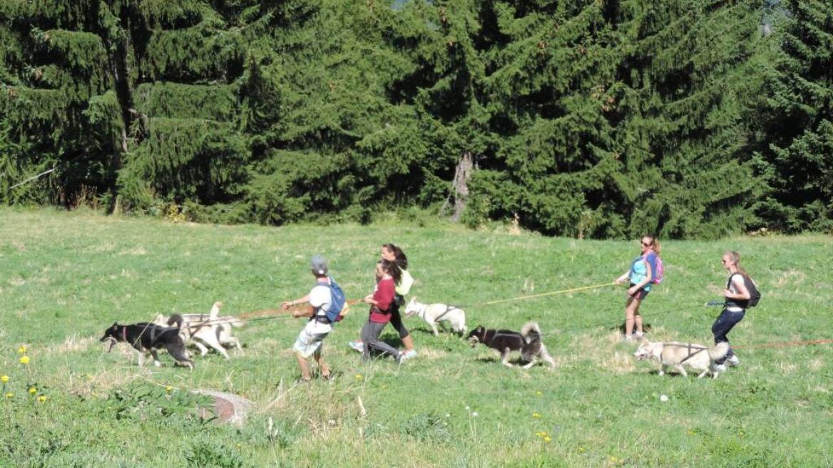 Hors Trace Aventure Cani Rando