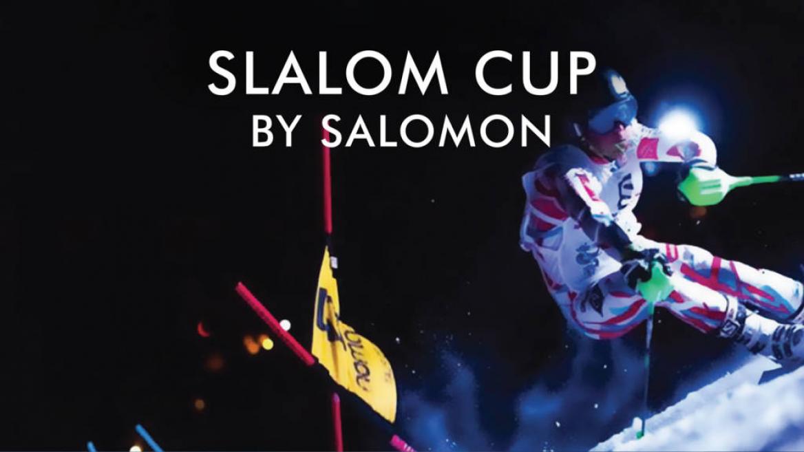 ski slalom salomon