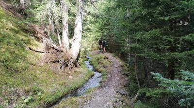 Sentier du Grand Bief