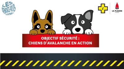 Chiens d'avalanche en action_La Plagne