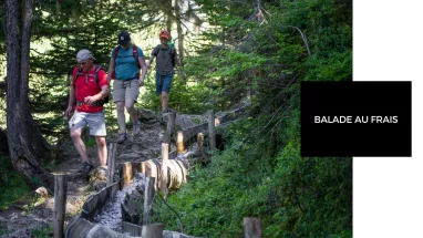 Balade au frais Balade au frais