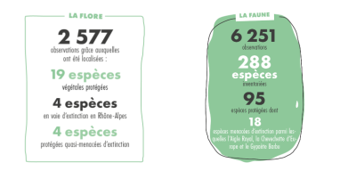 Faune et flore étudiées La Plagne